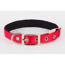 Gees Köpek Boyun Tasması 2,5X42-52 cm Kırmızı