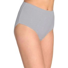 Silky Glows Tutku Kadın Yüksek Bel Bato Kalın Lastik Külot Gri