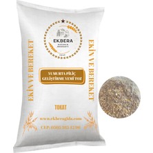 Ekbera Yumurta Piliç Geliştirme Yemi (Toz) (13. Hafta Başlangıç) - 3 KG