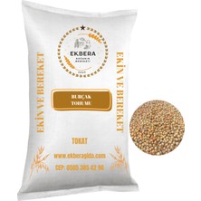 Ekbera Burçak (Müdürmük) Tohumu 1 kg | Ekimlik – Yemlik – Diyet Dostu – Çok Amaçlı