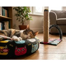 Petzen Biosand BS-SET05 Simit Kedi Yatağı ve Kaşımalı Tırmalama Seti Çok Renkli