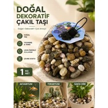 Mucit Home Kahve Doğal Taş Fanus Taşı Akvaryum Balık Taşı