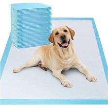 Die Grup Emici Kedi Köpek Pedi, 60X90 cm Boyutlarında Kullanışlı