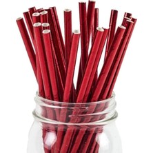 Tinky Winky Kağıt Pipet 20 cm - 06MM. Parlak Kırmızı / 25 Adet Kırmızı