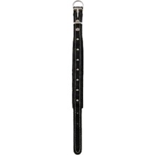Küçük Hazine Deri Tasma Koyu Kahverengi 45 cm