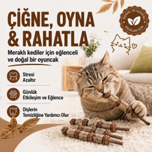 PureCanpati Matatabi Meyveli Kedi Oyuncağı – Doğal Çiğneme ve Oyun Çubuğu 1 Adet
