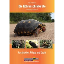 Die Köhlerschildkröte Chelonoidis Carbonarius: Faszination, Pflege Und Zucht