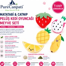 PureCanpati Matatabi ve Catnip Içeren Peluş Meyve Kedi Oyuncağı 1 Adet Karışık Model