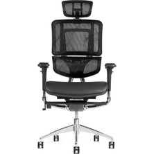 Calitte Apex Premium Ergonomik Ofis & Çalışma Koltuğu