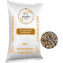 Ekbera Güvercin Yemi (Buğdaysız) - 1 KG