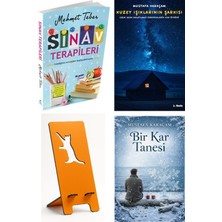 Sınav Terapileri - Mehmet Teber + Kuzey Işıklarının Şarkısı + Telefon Tutucu + Bir Kar Tanesi