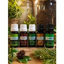 Akdeniz Vitamin Esansiyel Uçucu Koku Yağı 5 x 10ML Set Buhurdanlık Yağı Difüzör Esansı Hobi Esans Ortam Oda
