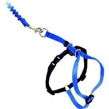 Petsafe Easy Walk® Cat Harness Kedi Gezinti Tasması Mavi Medium (27-36 Cm)