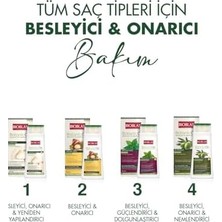 Sarımsak Özlü Saç Dökülmesine Karşı Bitkisel Şampuan – Organik Zeytinyağlı, Kompleks B19, Güçlendirici & Onarıcı Etki, 360 ml