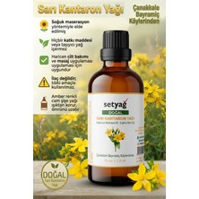 Sarı Kantaron Yağı, 50 ml / Soğuk Maserasyon Bitkisel Cilt Bakım Masaj Yağı Hypericum Perforatum