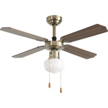 Dlc Poyraz Tavan Vantilatörü Antik 107CM
