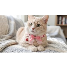 Vintage Puantiyeli Papyonlu Kedi Tasması, Özel Tasarım, Zilli, Pespembe, Pembe, 20-30 cm