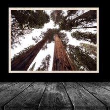 20LIK Naturel Krem Poster Resim Puzzle 48X68 cm 1000 Parça Çerçevesi Pvcli Postersiz Resimsiz Çerçeve
