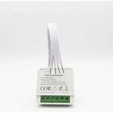 Mucize Tuya Destekli Akıllıwı-Fı Switch