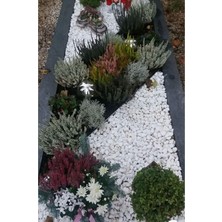 Ekodoğa Beyaz Dolomit Taş 5 kg 2 4 cm Bahçe Süs Taşı Dekoratif Aksesuarı 64 x 32