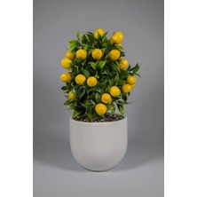 Beton Saksıda Yapay Limon Ağacı (Beyaz)