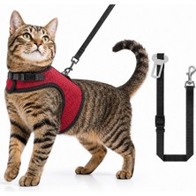 Kaçış Önleyici Kedi Gezdirme Tasması ve Küçük Irk Köpek Gezdirme Tasması Kedi Göğüs Tasması Seti (Small)