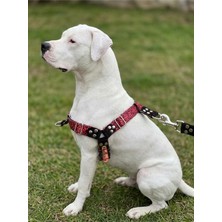 Köpek Göğüs Tasması Büyük & Çok Büyük Irk Ayarlamalı Önden ve Sırttan Çekmeli Kordon K