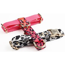 AyrStore The Tailor Candy Mix Göğüs Tasması (Xs)