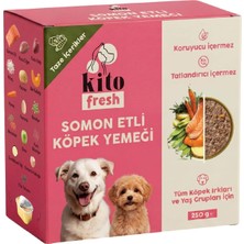 AyrStore Kito Fresh Somon Etli Köpek YEMEĞI%100 Taze Içerikli Mama 250 gr