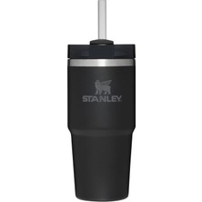 AyrStore The Quencher H2.0 Flowstate™ Bardak / 14 Oz Siyah