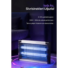 Byanes Elektirikli Sinek Kovucu 8W / Sinek Öldürücü ve Kovucu / Uv Mor Işık / 600-800V Izgara