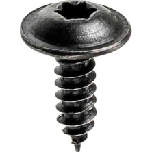 Innovareauto Renault Peugeot Citroen Skoda Fiat Seat ile Uyumlu Torx (Tork) Vida Klips - 50 Adet