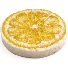 Temmiz Magic Sponge Sihirli Sünger Limon Desenli