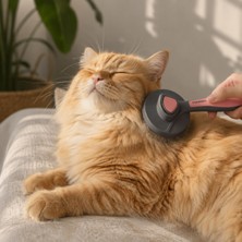 Patikadan | Otomatik Tuşlu Kendini Temizleyen Kedi Köpek Tarağı