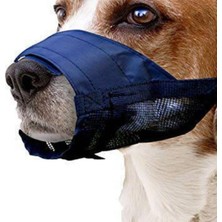 Pawise Bez Köpek Ağızlığı No:1 Xs