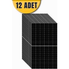 Tsm Tommatech 620 W Diamond Bifacial Half Cut Topcon Güneş Paneli - 12 Adet