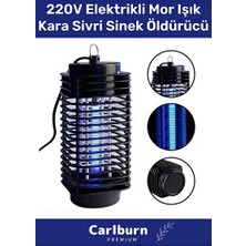 Byanes Özel Üretim Prizli Az Yer Kaplar 220V Elektrikli Cihaz Cız Lamba Mor Işık Kara Sivri Sinek Öldürücü