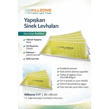 Byanes Sinek Tutucu Yapışkan Bant Levha 30 x 60 cm 20 Adet