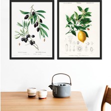 Zeytin - Limon Ahşap Çerçeveli Tablo Set 30X40 cm
