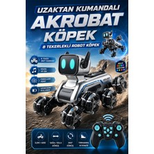 Brother Toys Uzaktan Kumandalı 8 Tekerli Akrobat Oyuncak Robot Köpek Araba 25 Cm. Wall-E Benzeri