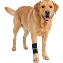 Fico Köpek Ön Bacak Bilek Desteği, Çıkarılabilir Atelli Ayarlanabilir Ortopedik Manşon, Veteriner Onaylı, Artrit, Yaralanma ve Ameliyat Sonrası Destek (X Large)