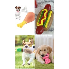 Pet Paketi Sesli Köpek Oyuncakları 4'lü