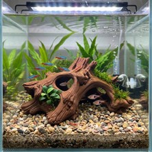 Kanki Pet 3D Petg Akvaryum Ağaç Kökü Dekoru Batabilen Süs KP3D10410