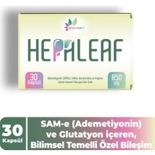 Pharmaleaf Hepaleaf 30 Kapsül – Enginar, Devedikeni ve Karahindiba Içeren Karaciğer Destekleyici Takviye