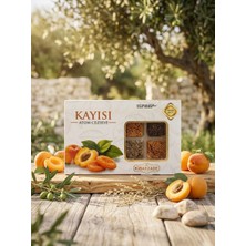 Kibarzade Kayısı Atom Cezerye 4'lü Çanta (125 gr x 4)