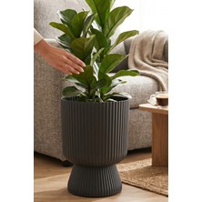 Temmuz Home 1 Adet 5 Litre Büyük Boy Çizgili Ayaklı Saksı - Lotus 2 No (Deliksiz Bir Saksıdır)
