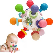 AyrStore Circle Toys Bebek Montessori Duyusal Diş Kaşıyıcı Top – Motor Becerileri Gelişim Oyuncağı