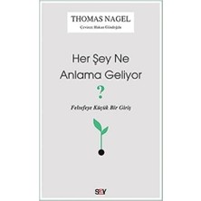 Her Şey Ne Anlama Geliyor?: Felsefeye Küçük Bir Giriş