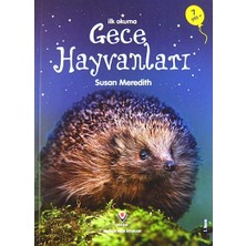Erken Çocukluk Kitaplığı Gece Hayvanları