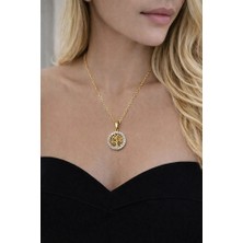 Çelik Yuvarlak Uçlu Gold Zirkon Taşlı Kolye